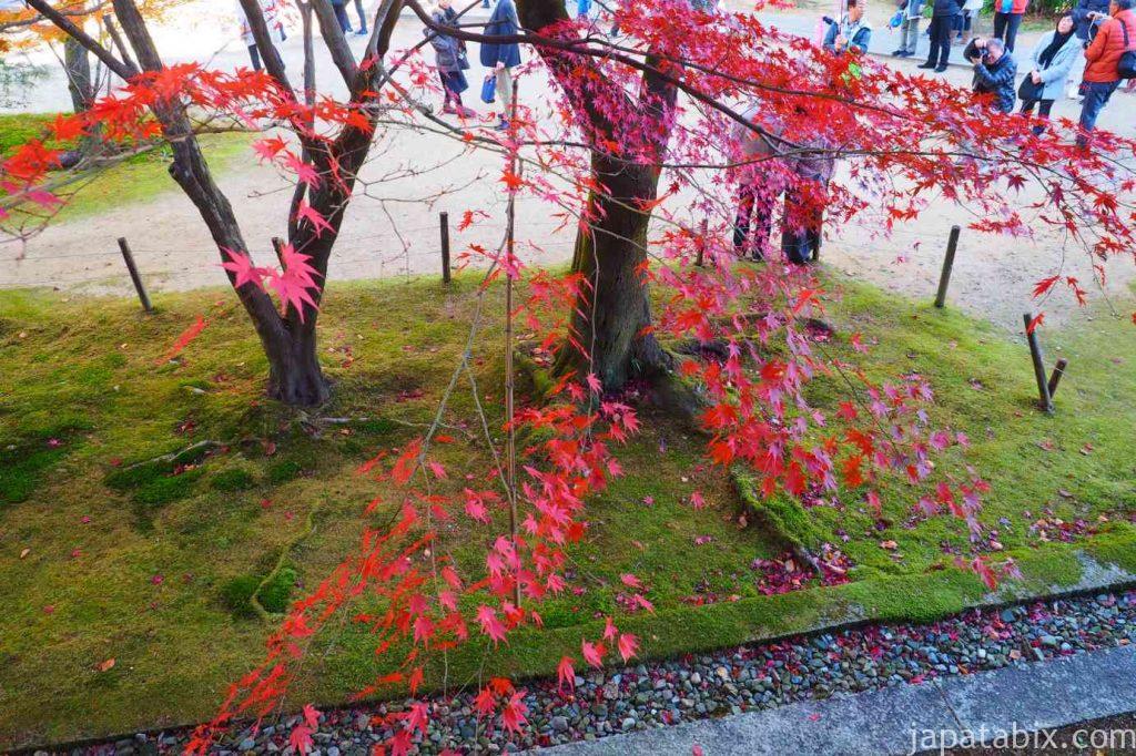 京都 光明寺 回廊と紅葉