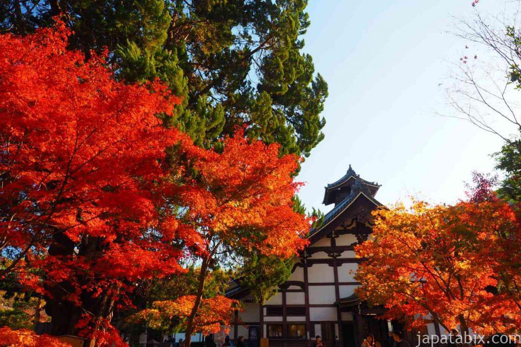 京都 光明寺 書院と紅葉