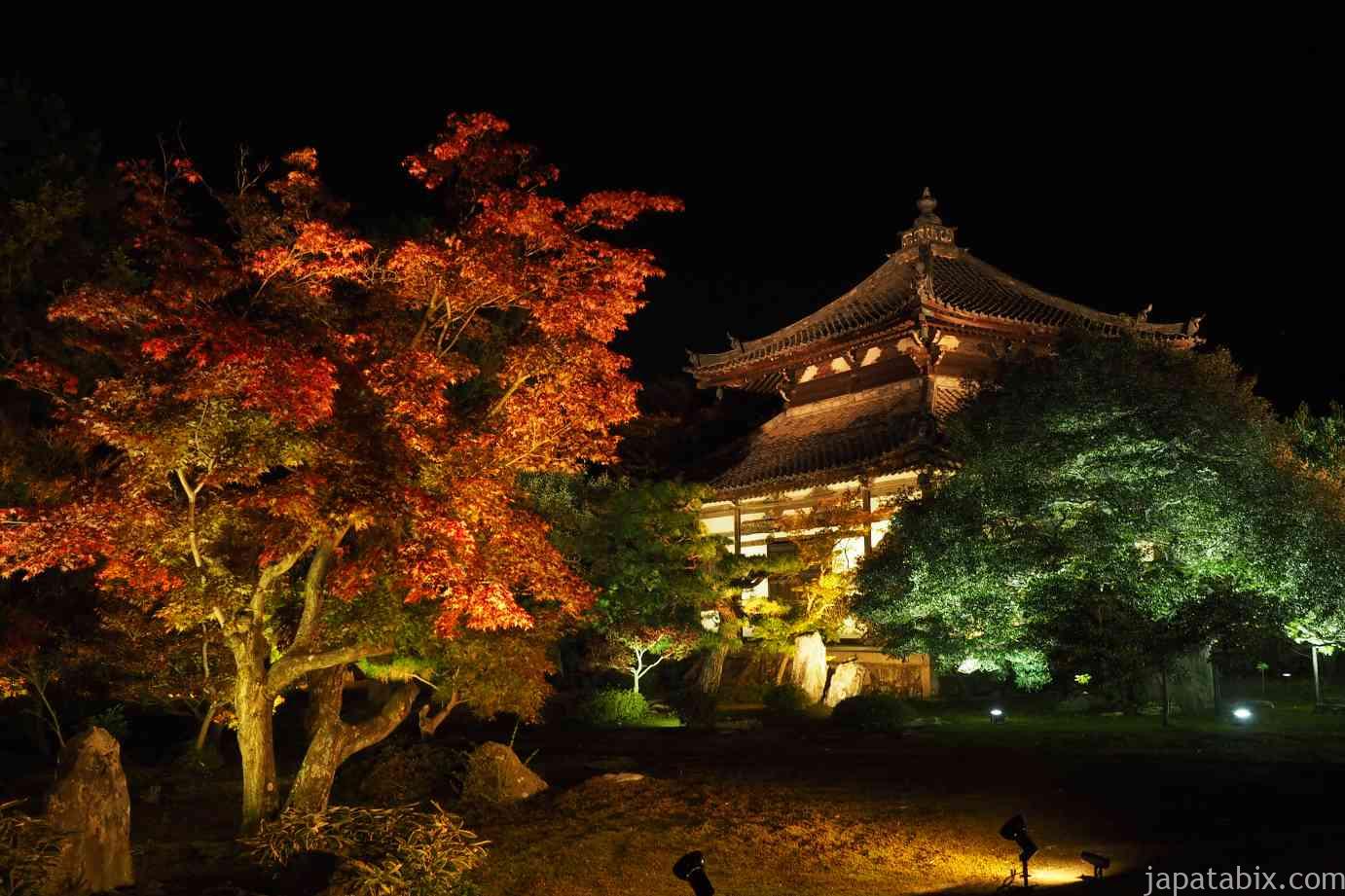 京都 鹿王院の紅葉21年版 闇に浮かぶ舎利殿が見所 人数限定の夜間特別拝観を解説 紅葉見頃や見どころもご紹介 じゃぱたびっくす