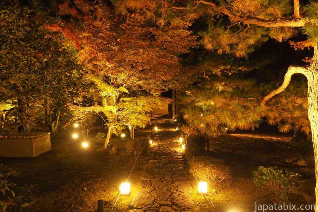 京都 嵯峨 鹿王院 夜間特別拝観 本庭 紅葉ライトアップ