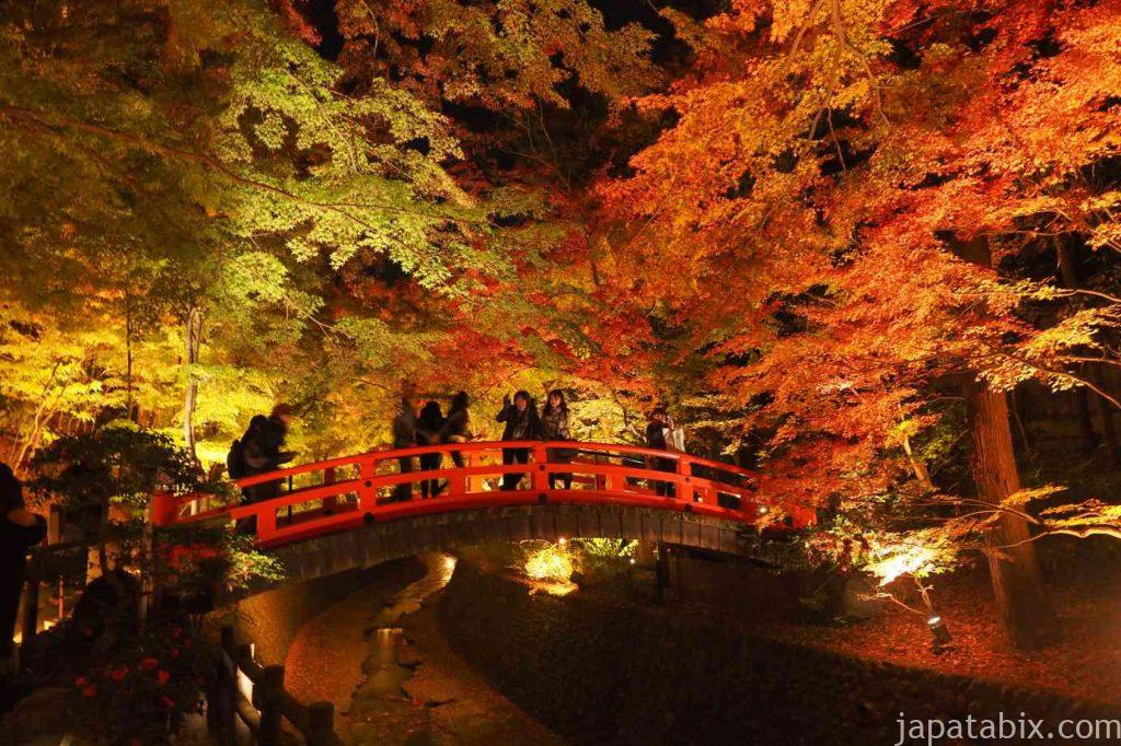 京都 北野天満宮 もみじ苑 紅葉 ライトアップ