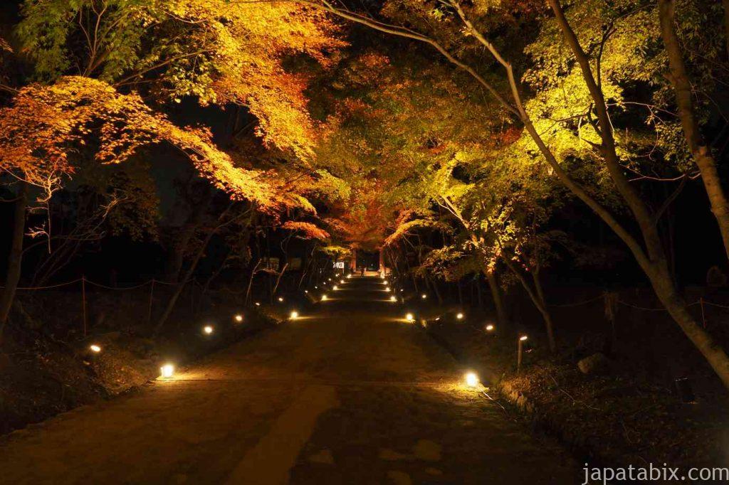 京都 醍醐寺 紅葉ライトアップ 伽藍
