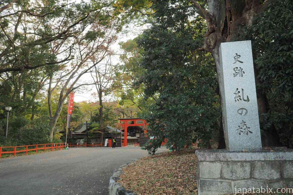 京都 下鴨神社 糺の森 紅葉
