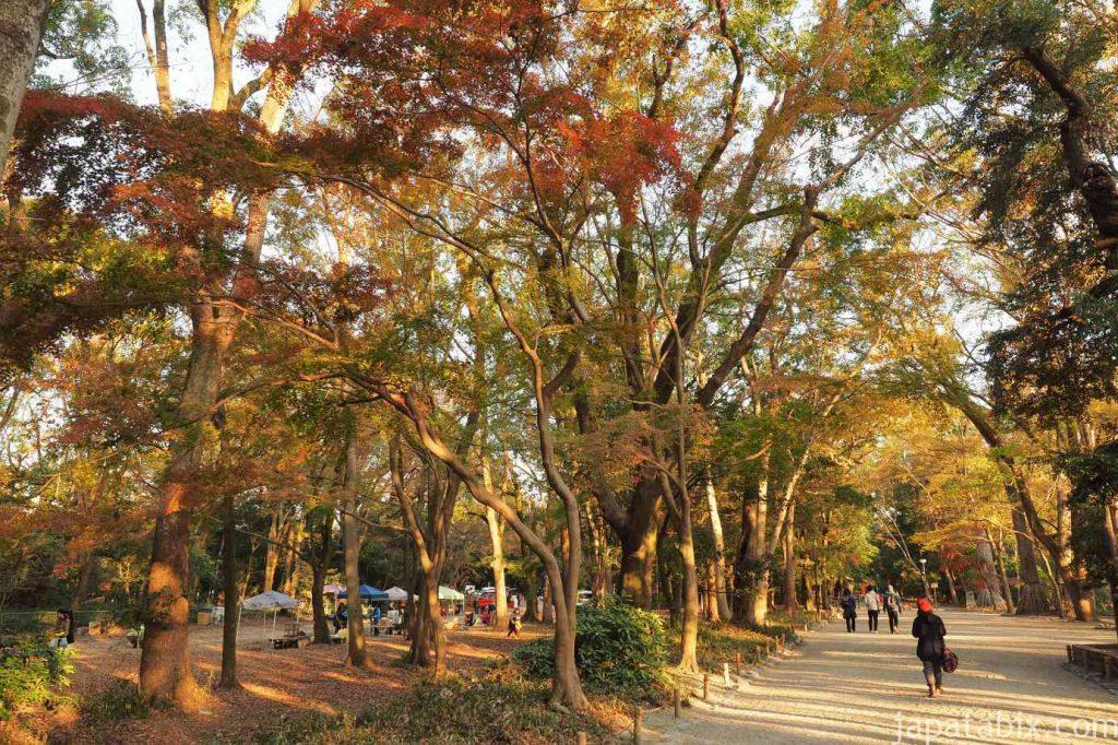 京都 下鴨神社 糺の森 紅葉