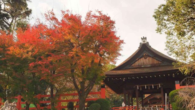京都 建勲神社 紅葉