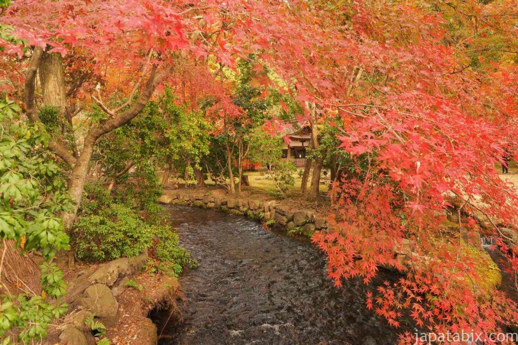 京都 上賀茂神社 ならの小川と紅葉