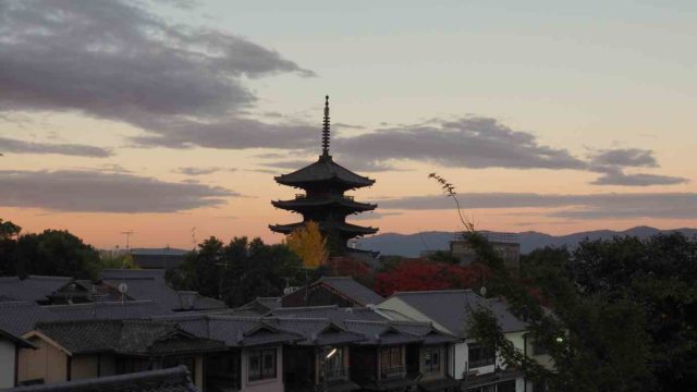 京都 紅葉 早朝の東山 八坂の塔