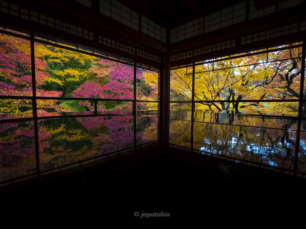 京都 瑠璃光院の紅葉