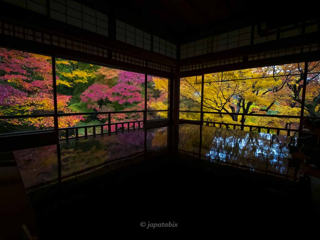京都 瑠璃光院 紅葉