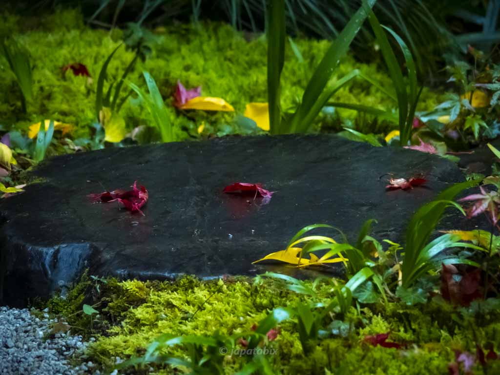 京都 瑠璃光院 瑠璃の庭