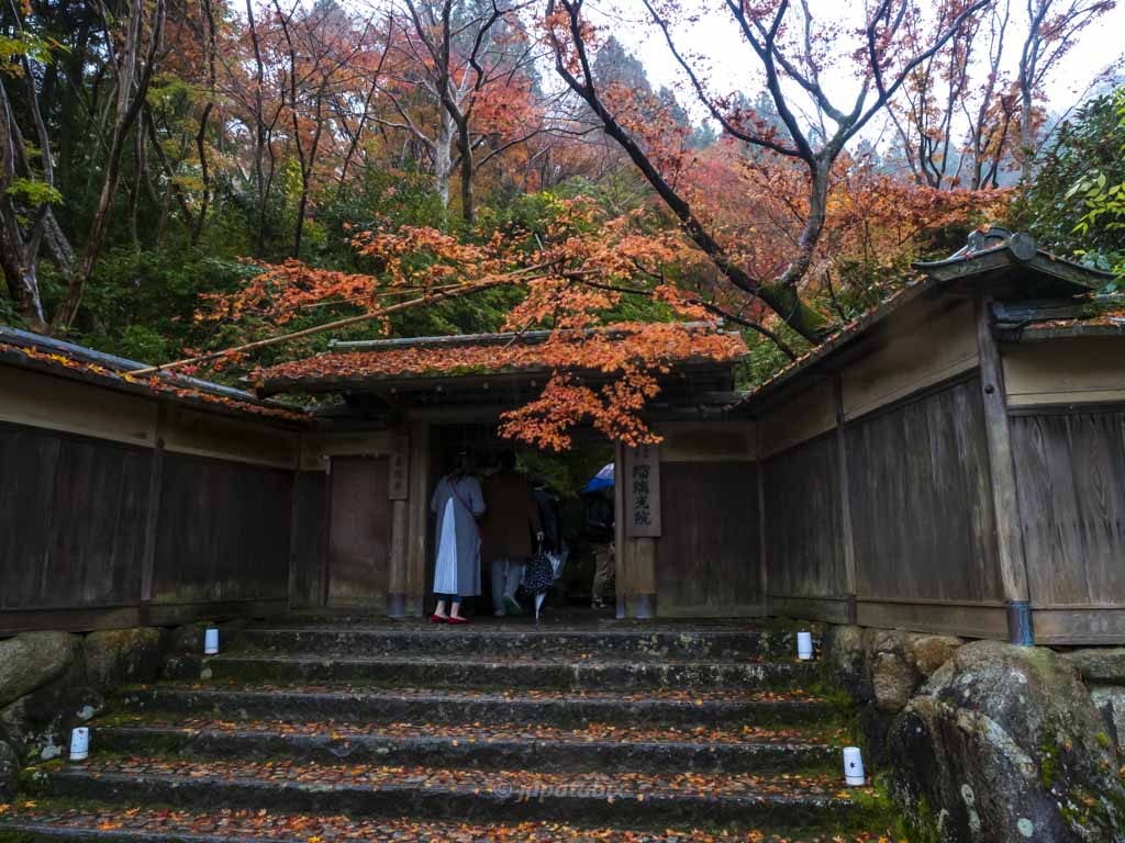 京都 瑠璃光院 山門