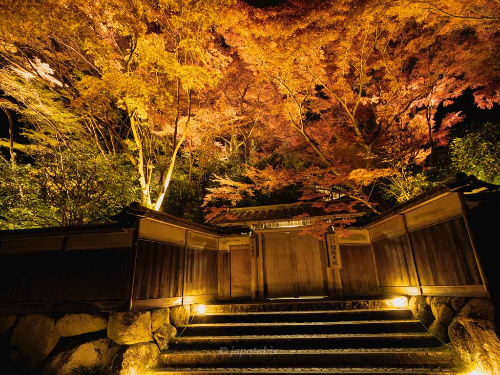 京都 瑠璃光院 夜間ライトアップ