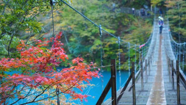 静岡県 寸又峡 夢の吊橋の紅葉