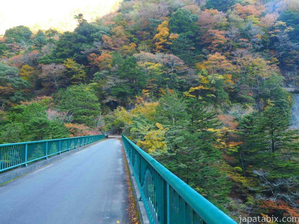 静岡県 寸又峡 夢の吊橋の遊歩道