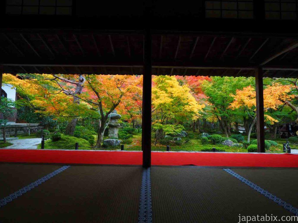 京都圓光寺の紅葉