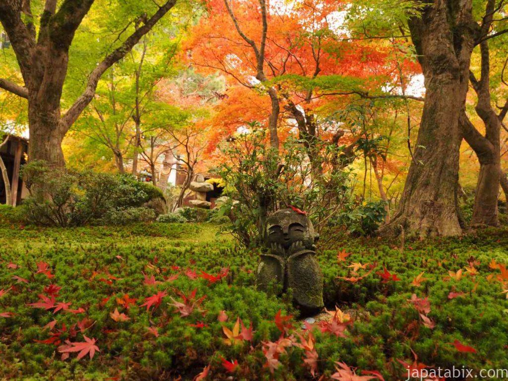 京都圓光寺の紅葉