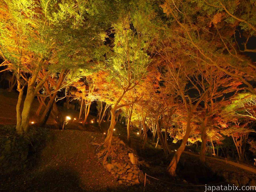 京都八瀬 瑠璃光院 紅葉ライトアップ 夜間特別拝観