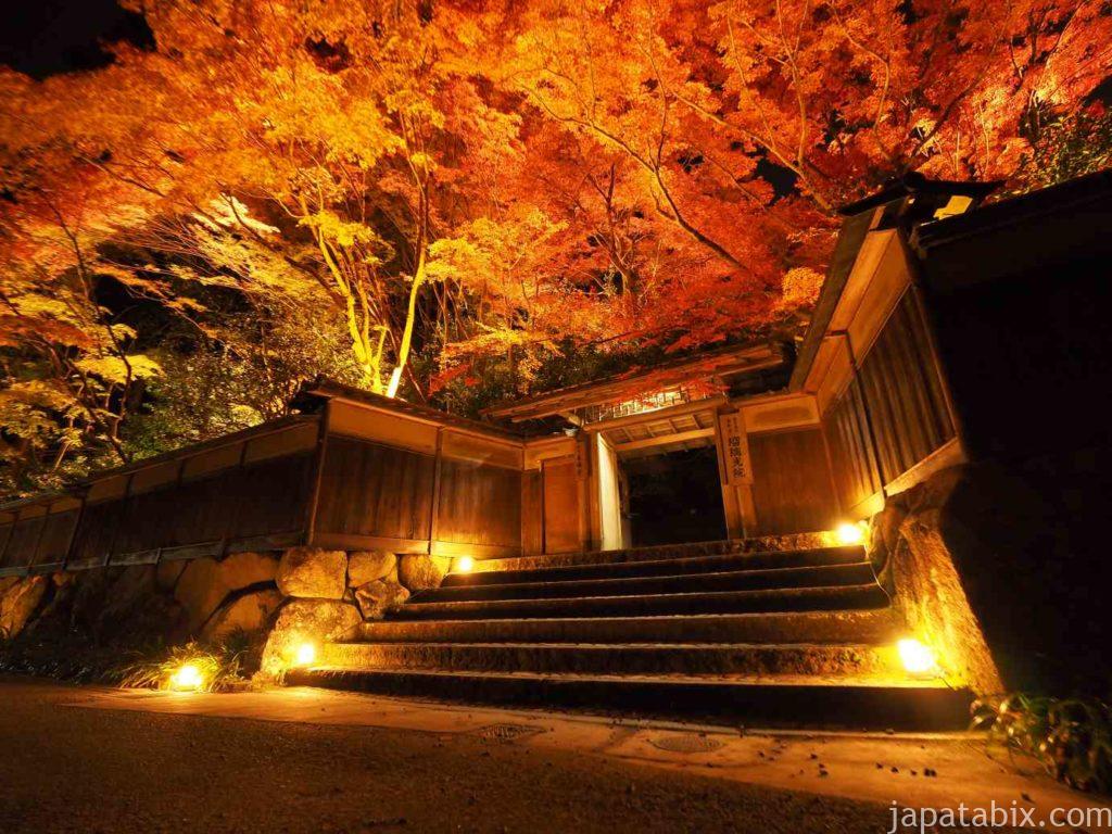 京都八瀬 瑠璃光院 紅葉ライトアップ 夜間特別拝観