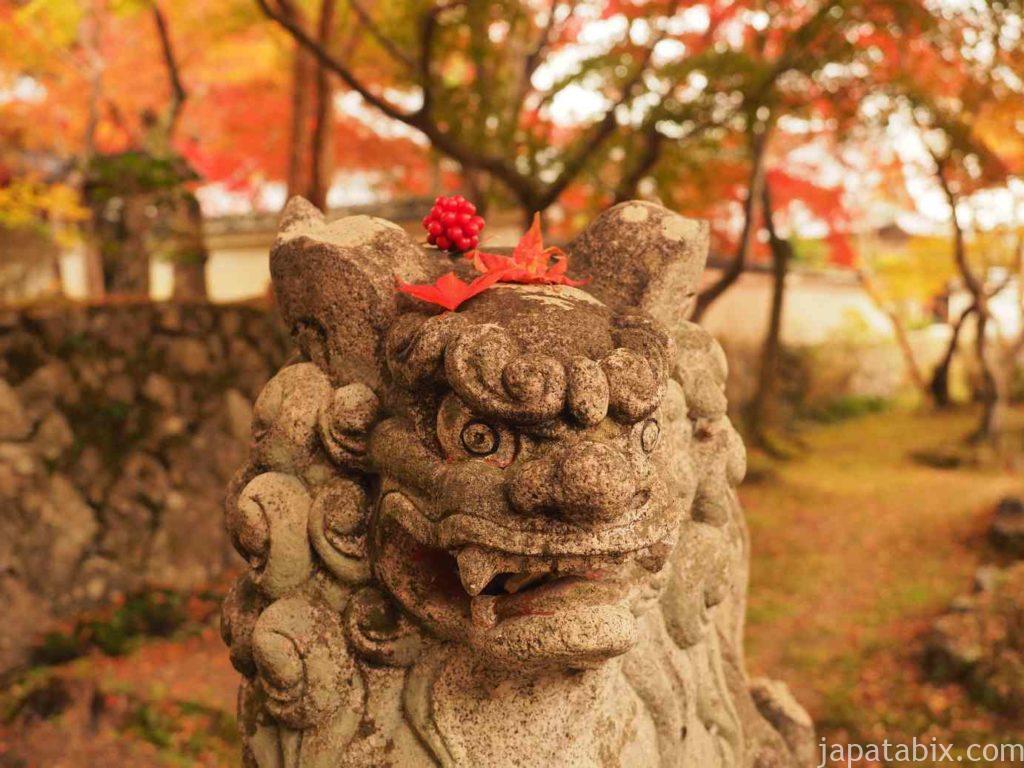 京都 勝持寺の紅葉