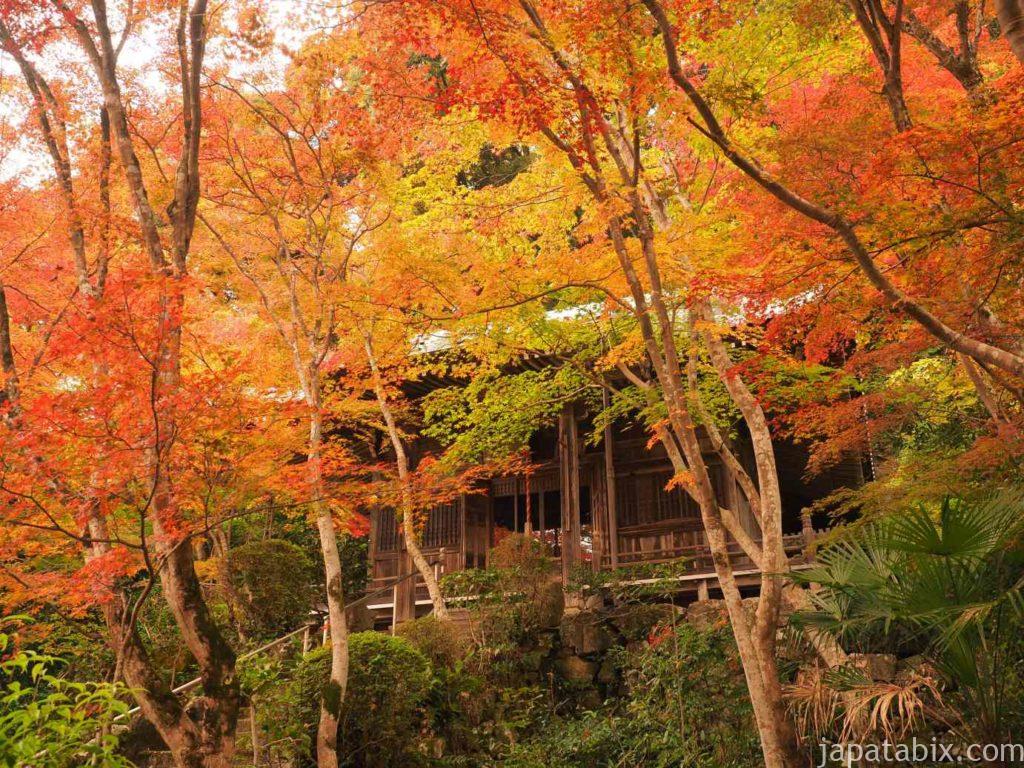 京都 勝持寺の紅葉