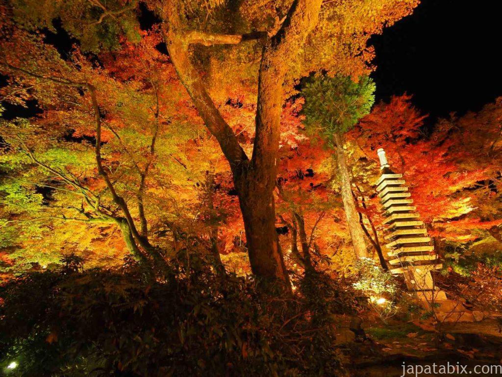 京都 嵐山 宝厳院 紅葉ライトアップ