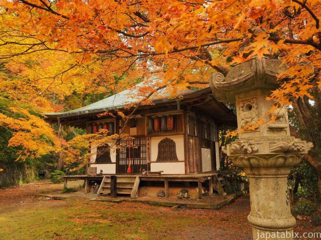 京都 金蔵寺の紅葉