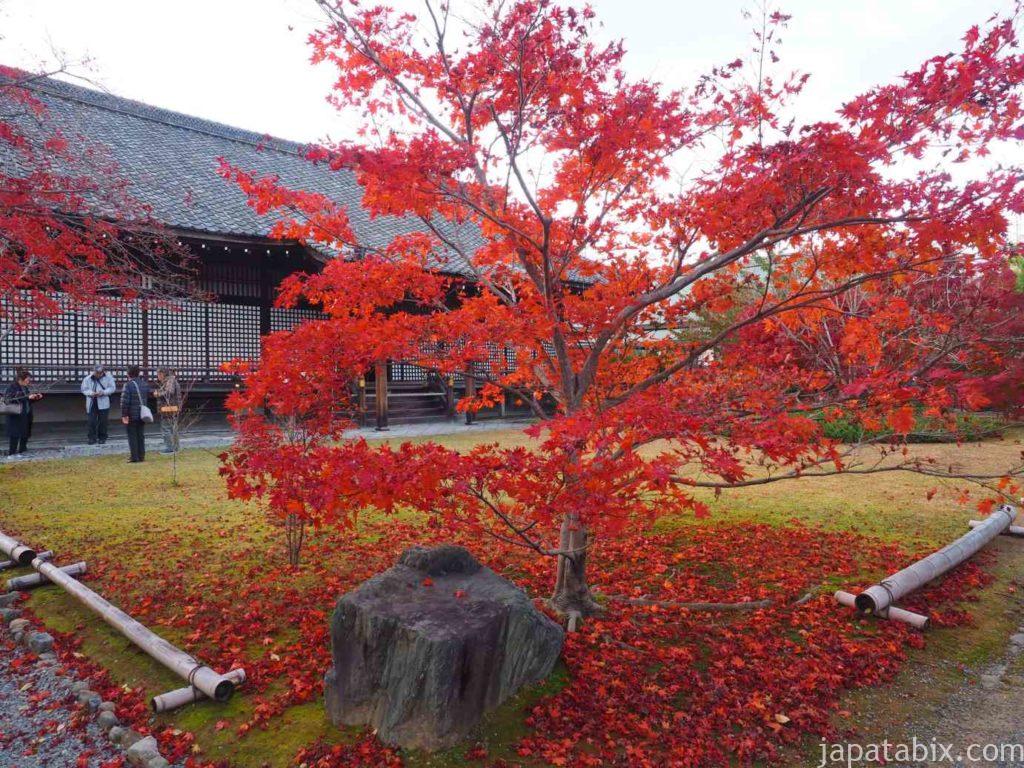 京都 勧修寺 紅葉