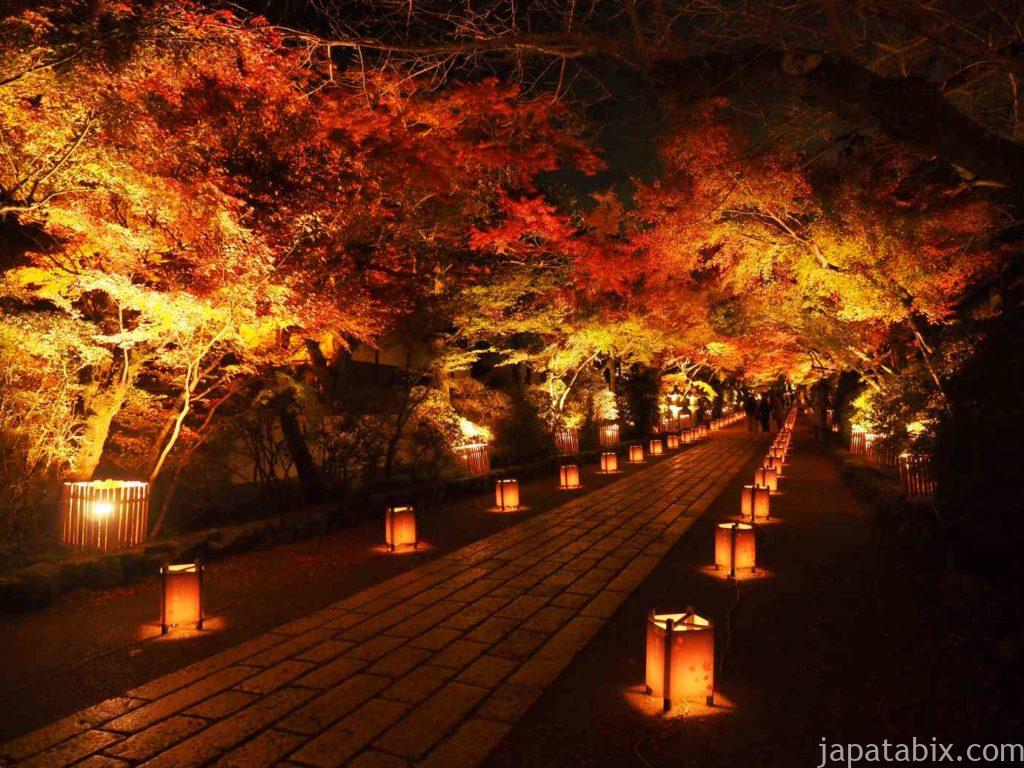滋賀 石山寺の紅葉ライトアップ