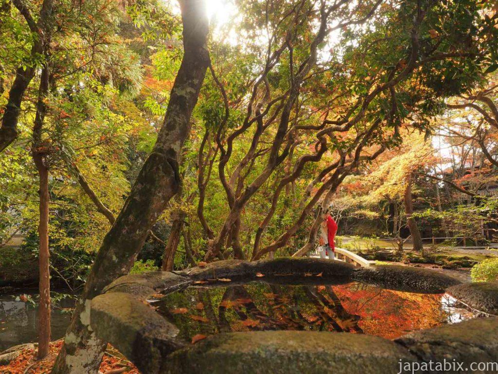 京都 法然院の紅葉