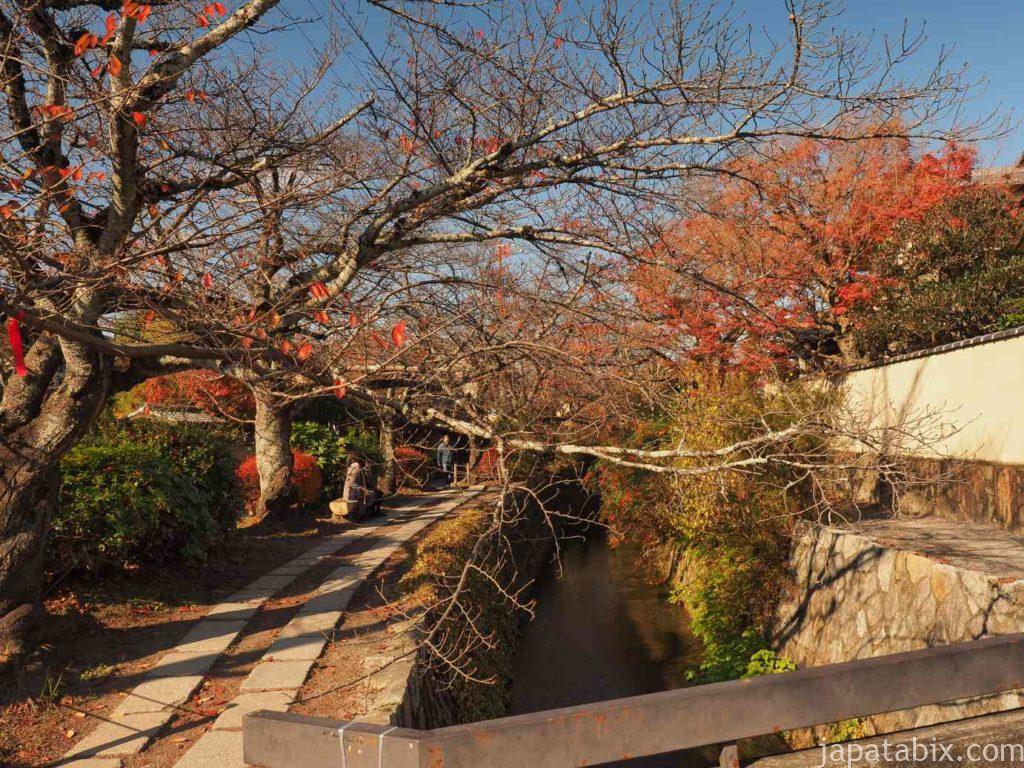 京都 哲学の道の紅葉