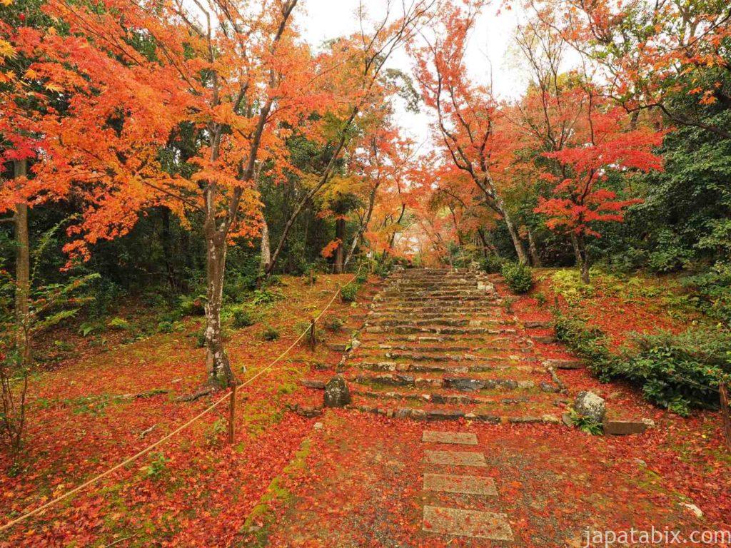京都 浄住寺の紅葉