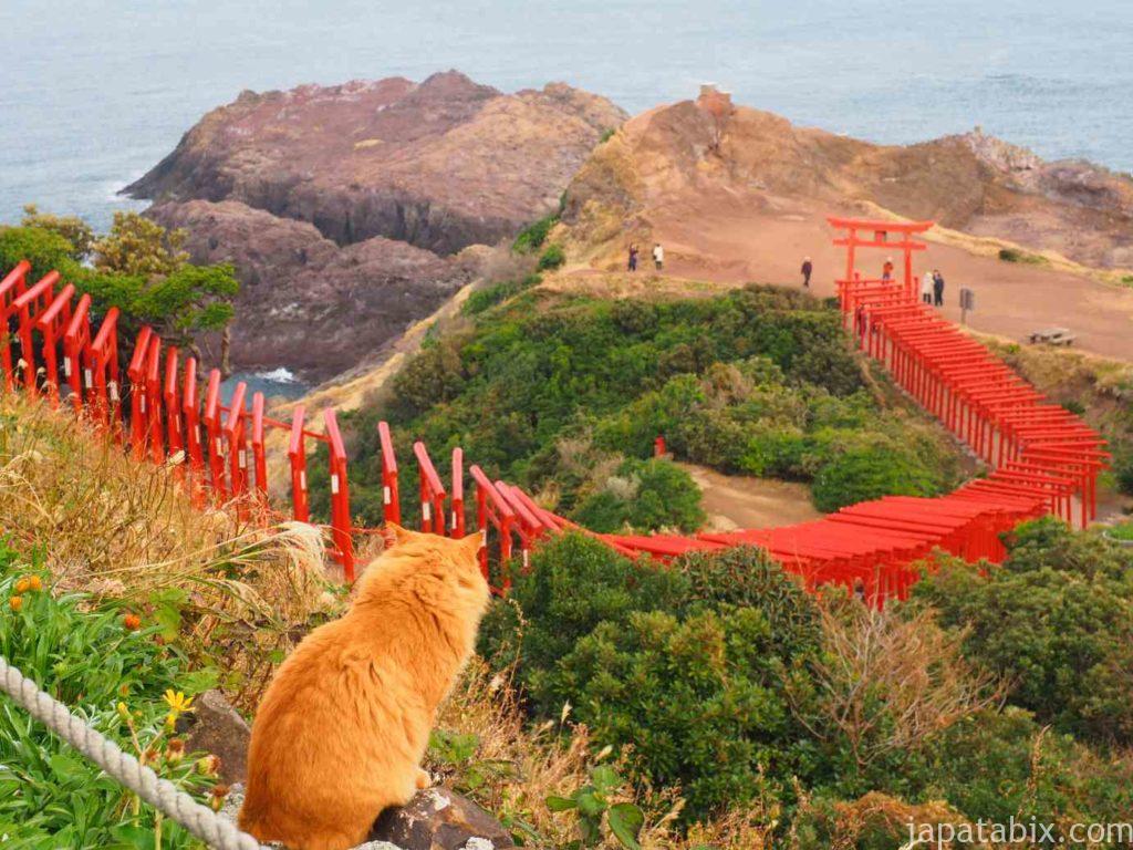 山口 元乃隅神社と猫