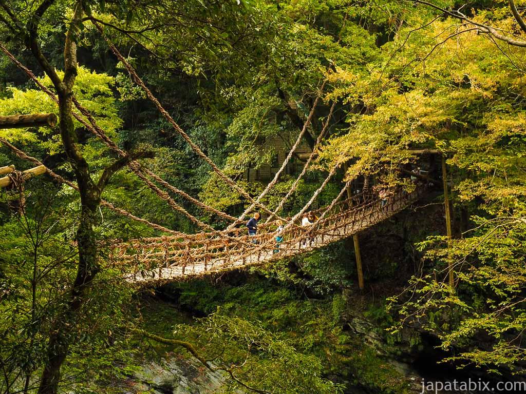 徳島 祖谷のかずら橋 