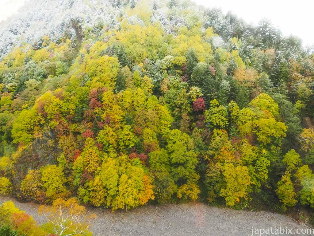 北海道 層雲峡 黒岳ロープウェイから見下ろす紅葉