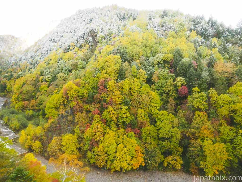 北海道 層雲峡 黒岳ロープウェイから見下ろす紅葉