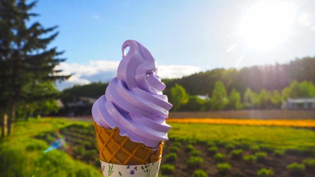 北海道 ファーム富田 ラベンダー味のソフトクリーム