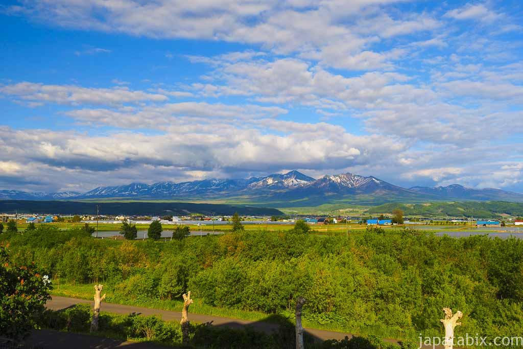 北海道 ファーム富田 5月の風景