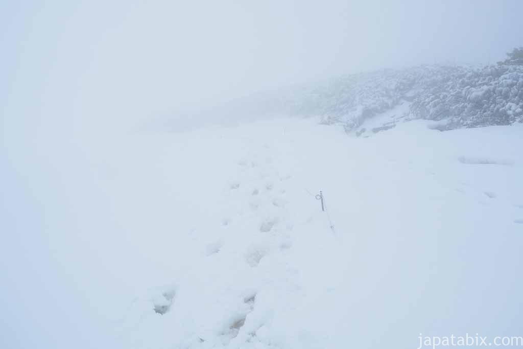 北海道 東川町 大雪山 旭岳 視界不良の散策