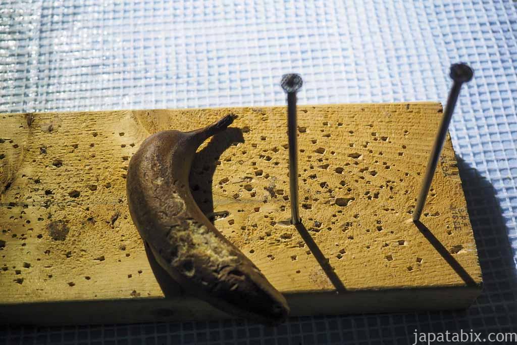 氷の美術館 北海道アイスパビリオン バナナで釘を打つ