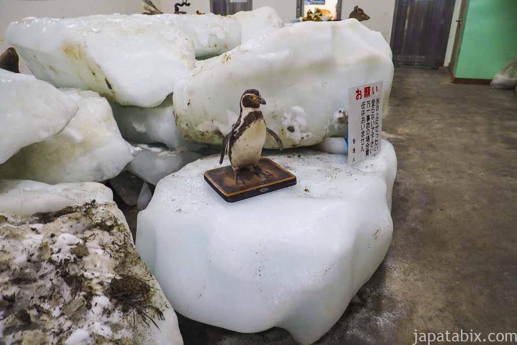 日本最北端の店 柏屋 流氷館