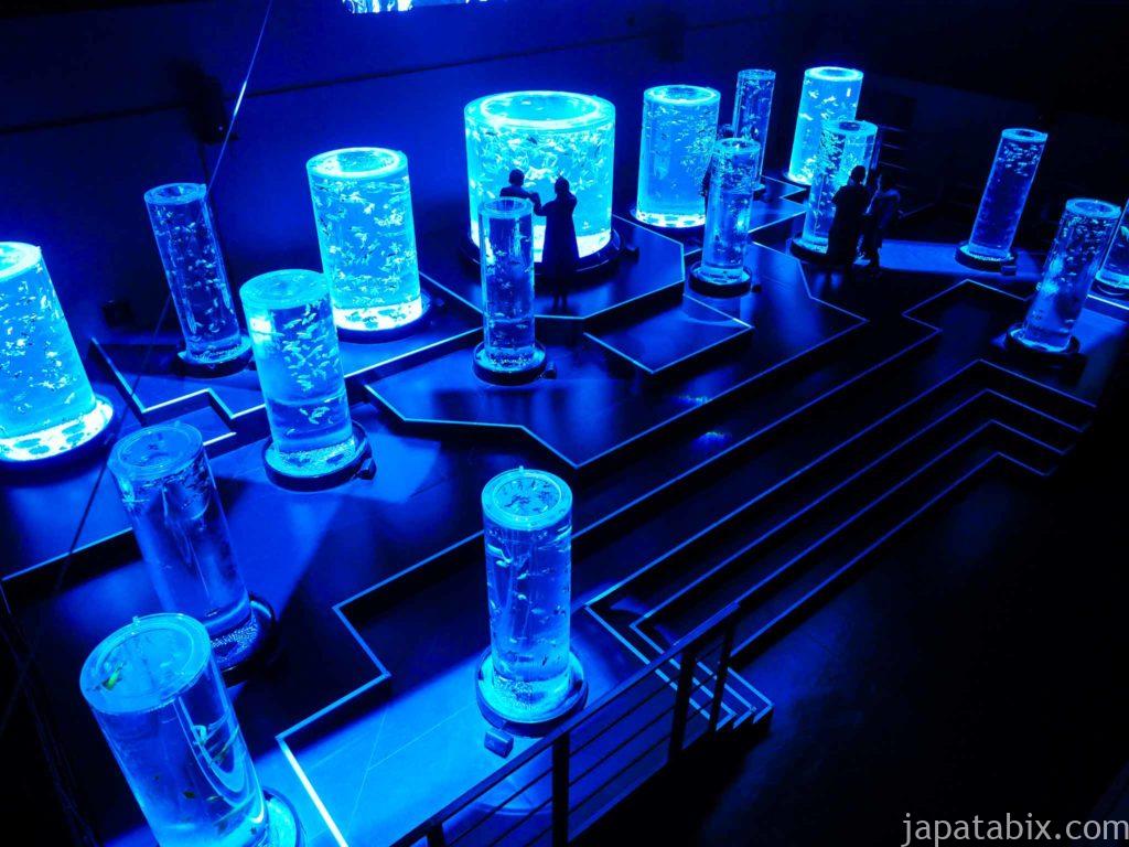 【アートアクアリウム美術館】平日 夜に行った感想!チケット料金・体験レポ・口コミ・混雑・駐車場など