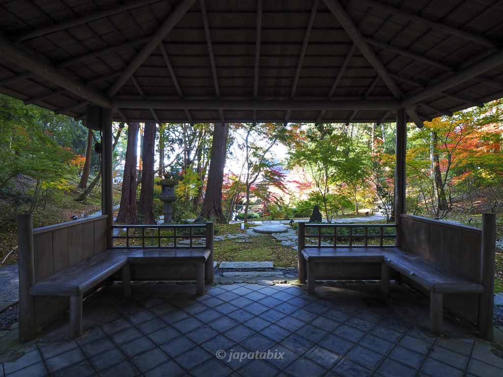 京都 くろ谷 金戒光明寺 紫雲の庭 ご縁の道