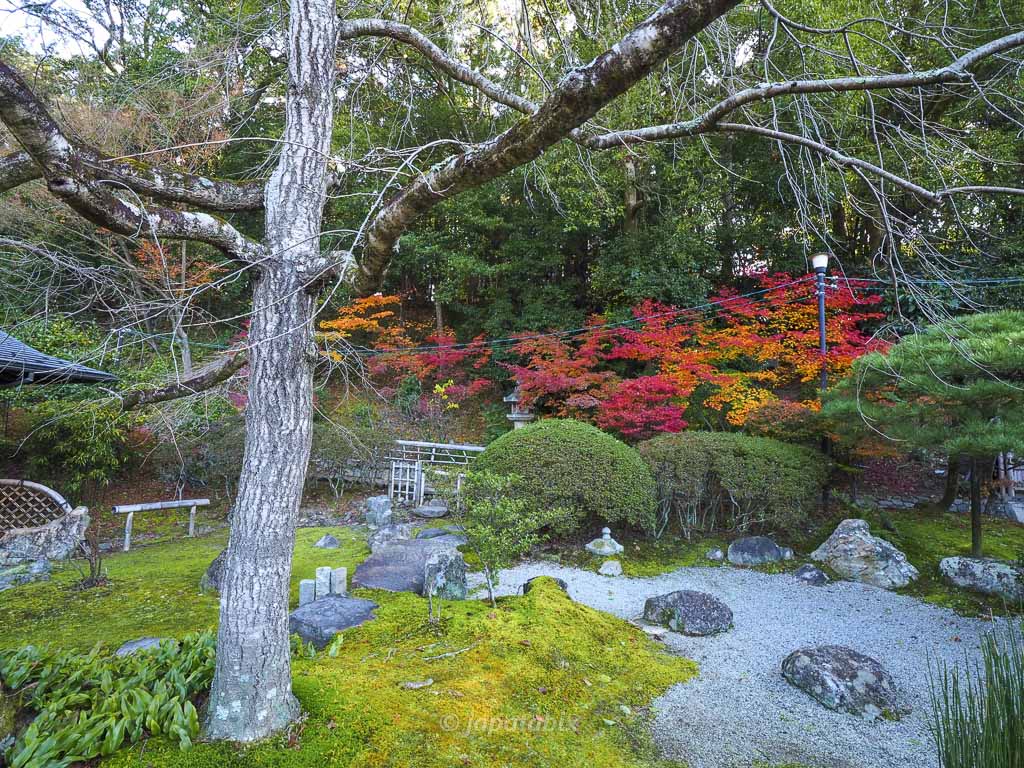 京都 くろ谷 金戒光明寺 紫雲の庭