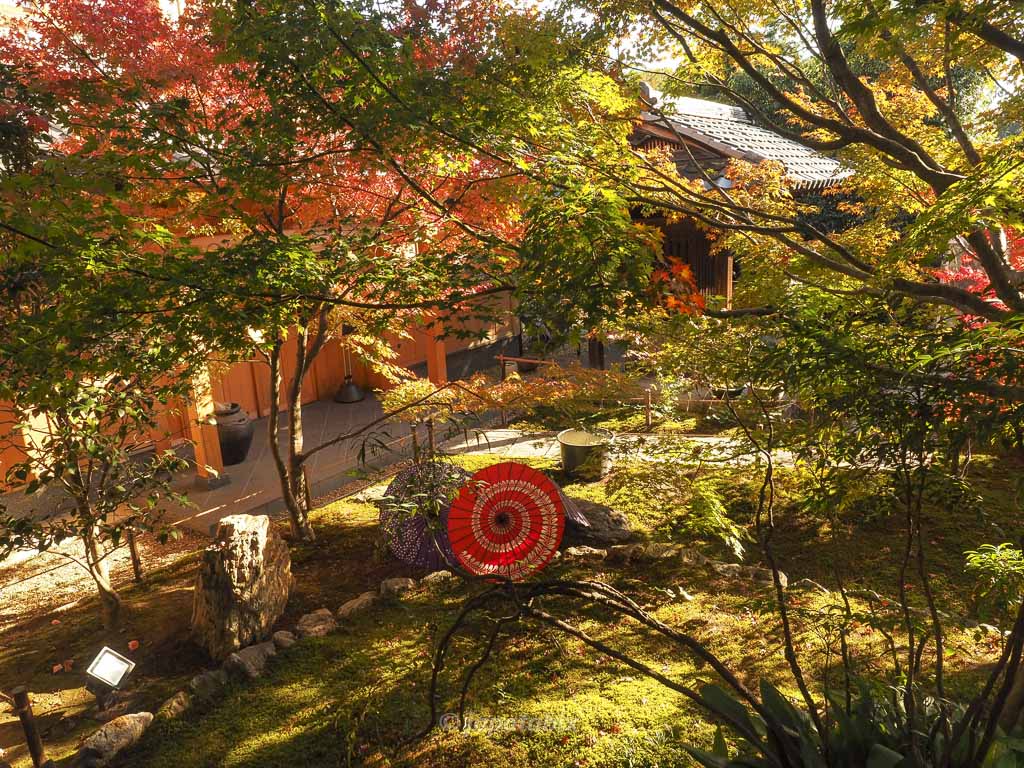 京都 勝林寺 和傘と紅葉