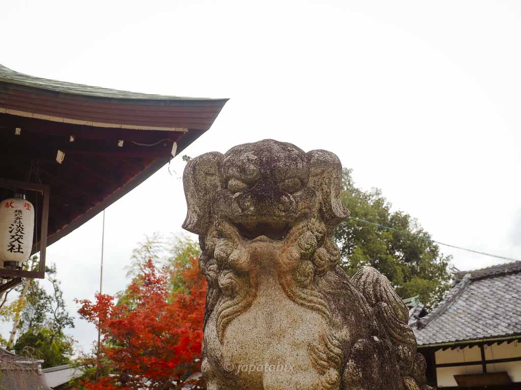 京都 今宮神社 狛犬と紅葉