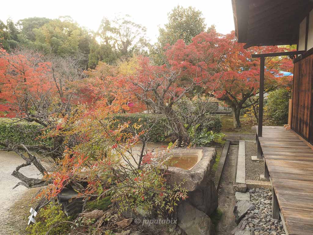京都 勧修寺 本殿周辺の紅葉