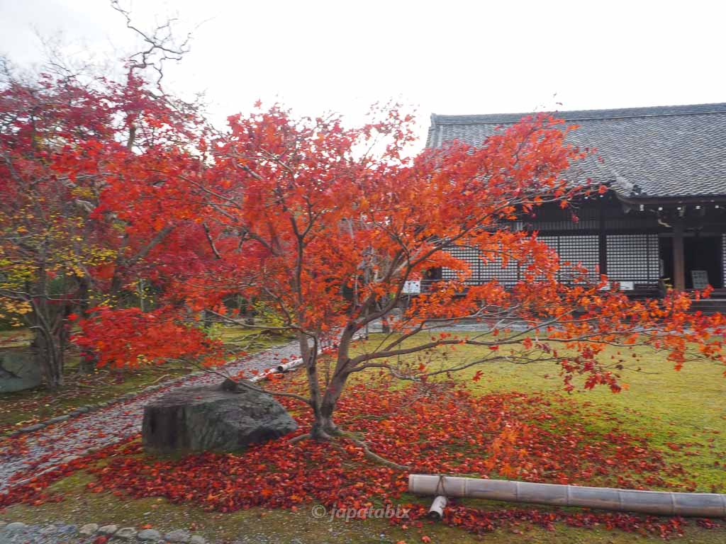 京都 勧修寺 宸殿 紅葉