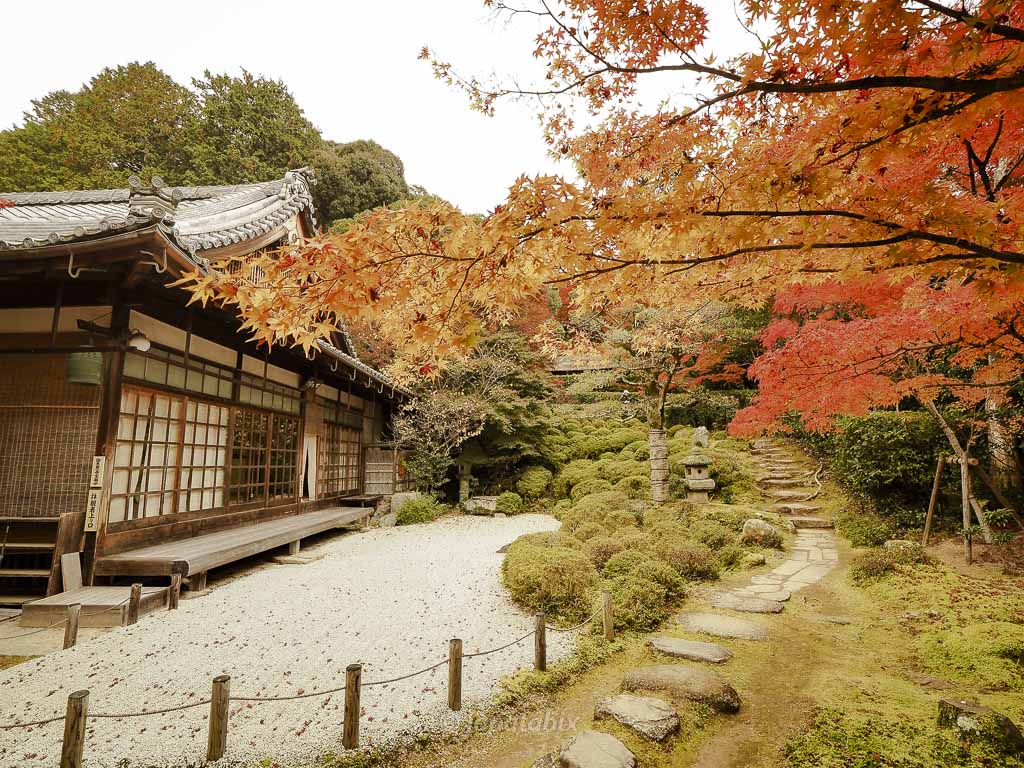 京都 金福寺の枯山水庭園