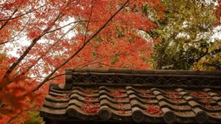 京都 金福寺の紅葉