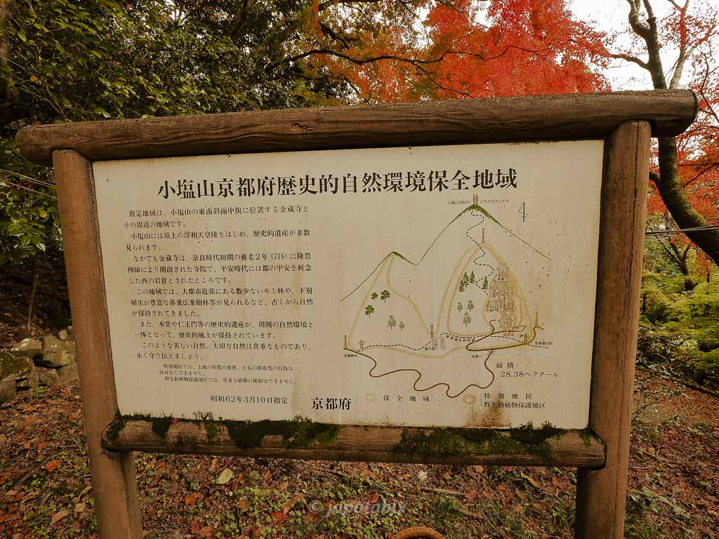 京都 金蔵寺 地図